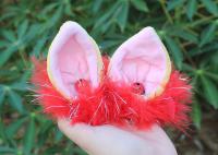 TAI BÔNG GẮN NÓN